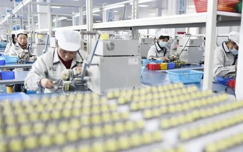 小微企業成留抵退稅重點，旅游業務迎政策春風